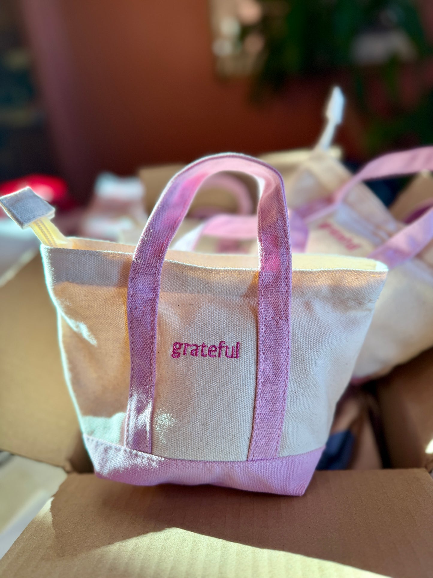 Grateful Mini Zip Tote - Pink Embroidery