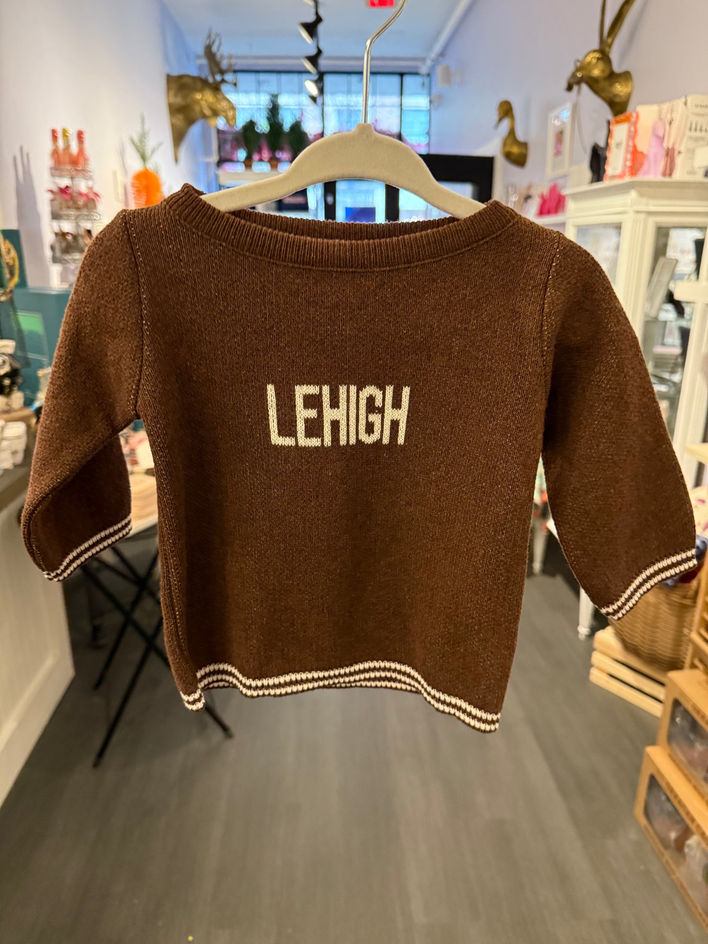 Lehigh Crewneck Baby Sweater