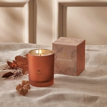 Thymes Pumpkin Candle - Pumpkin Laurel Aromatic Candle 6.5oz