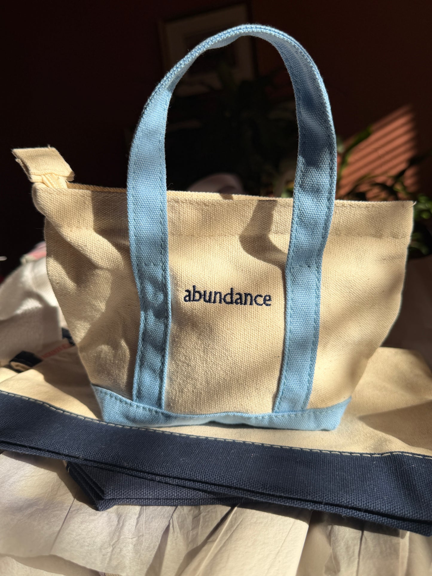 ✨ Abundance Mini Zip Tote — Embroidered Canvas Bag (Manifestation Gift Edition)