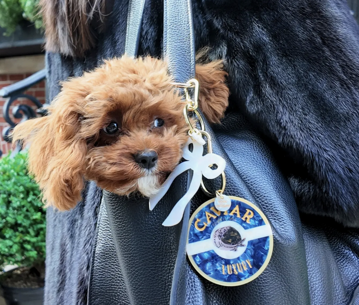 Caviar Bag Charm + Keychain