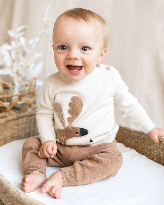 Cozy Moose Knit Baby Pullover
